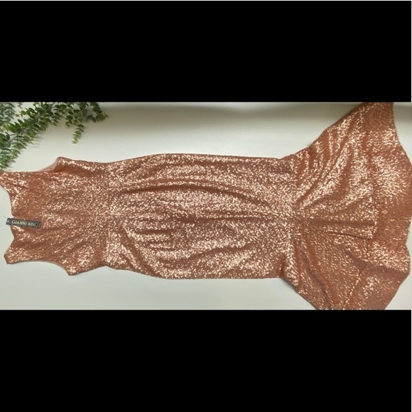 NWT Gianni Bini Juliet Dress Rose Sequin Feminine Fairytale Size 4 - Picture 9 of 17